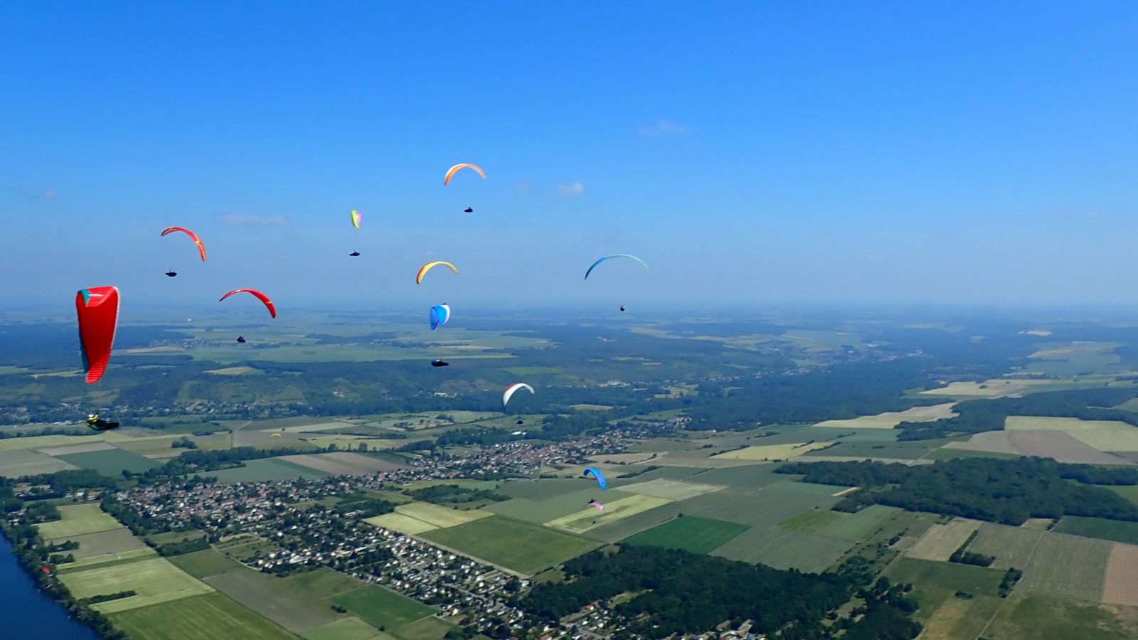 photo la grappe en cours d extraction