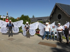 Parade dans St Hilaire et les stands à la 40ème Coupe Icare