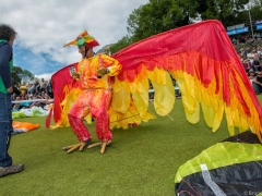 Photos de l'oiseau de feu par Bruno Lavit