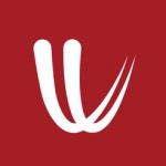 logo windy.com
