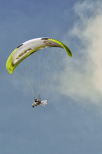 Image Nos atterrissages de papillons blancs  à Lumbin